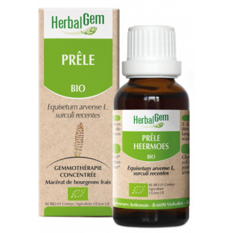 Herbalgem Gemmobase Prêle bio Flacon compte gouttes 50ml
