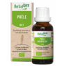 Herbalgem Gemmobase Prêle bio Flacon compte gouttes 50ml