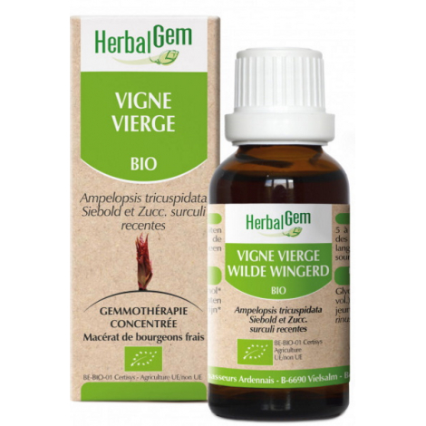 Herbalgem Gemmobase Vigne vierge bio Flacon compte gouttes 50ml