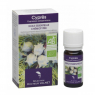 Dr Valnet Huile essentielle Cyprès 10ml